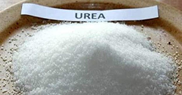 Ure tạo chất dinh dưỡng cho vi sinh vật trong nước