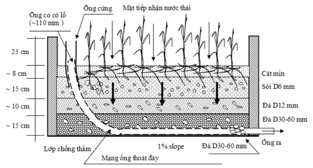 Xử lý nước thải bằng thực vật thủy sinh