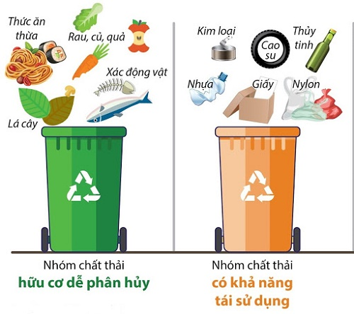 Phân loại cá thể