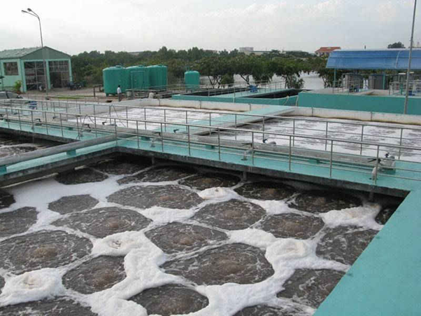 Quy chuẩn nước thải giết mổ gia cầm gia súc