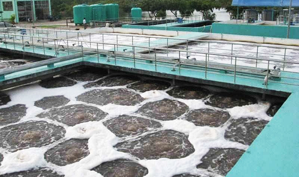 Nước thải sinh hoạt nhà máy chứa rất nhiều chất gây ô nhiễm môi trường