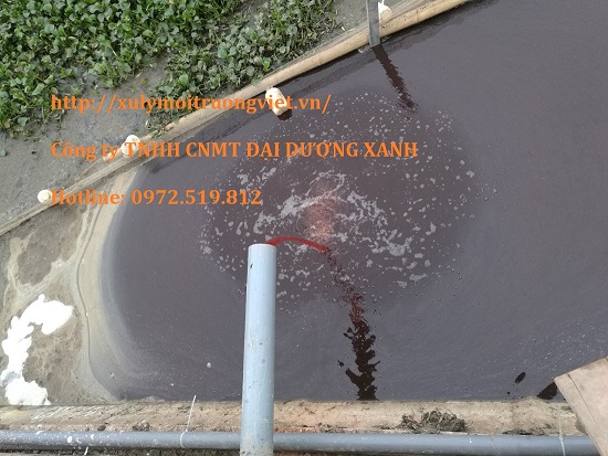 Nước thải giết mổ lợn trước khi xử lý 