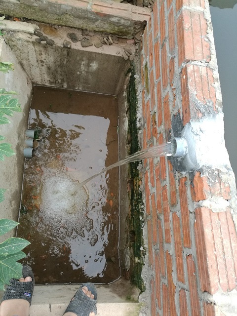 Nước thải giết mổ lợn sau khi xử lý 