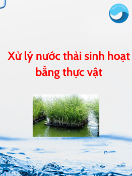 Xử lý nước thải sinh hoạt bằng thực vật
